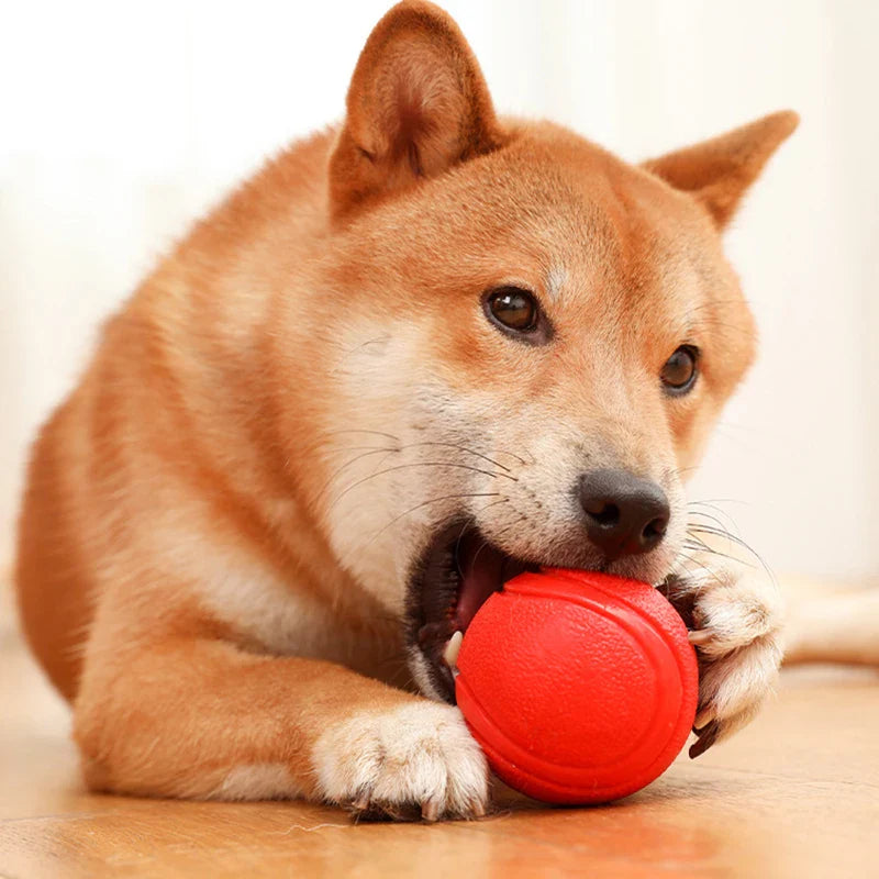 Indestructible TPR Dog Molar Ball – Bite-Resistant Interactive Training Toy, Sizes S–XL (1.8–2.8 in / 4.5–7 cm)