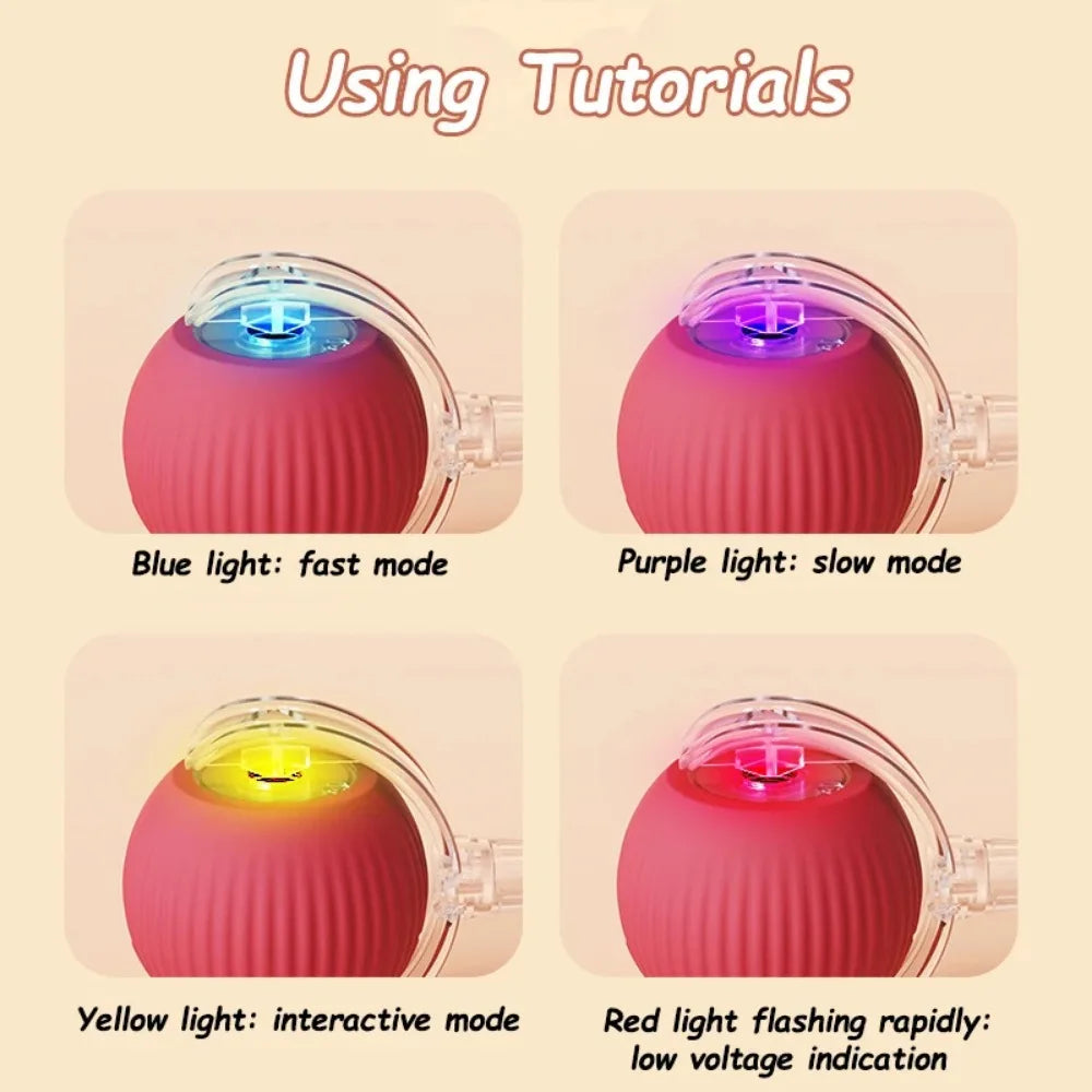 Interactive Rechargeable Rolling Cat Ball with Faux Tail – Automatic Smart Pet Toy for Cats & Small Dogs