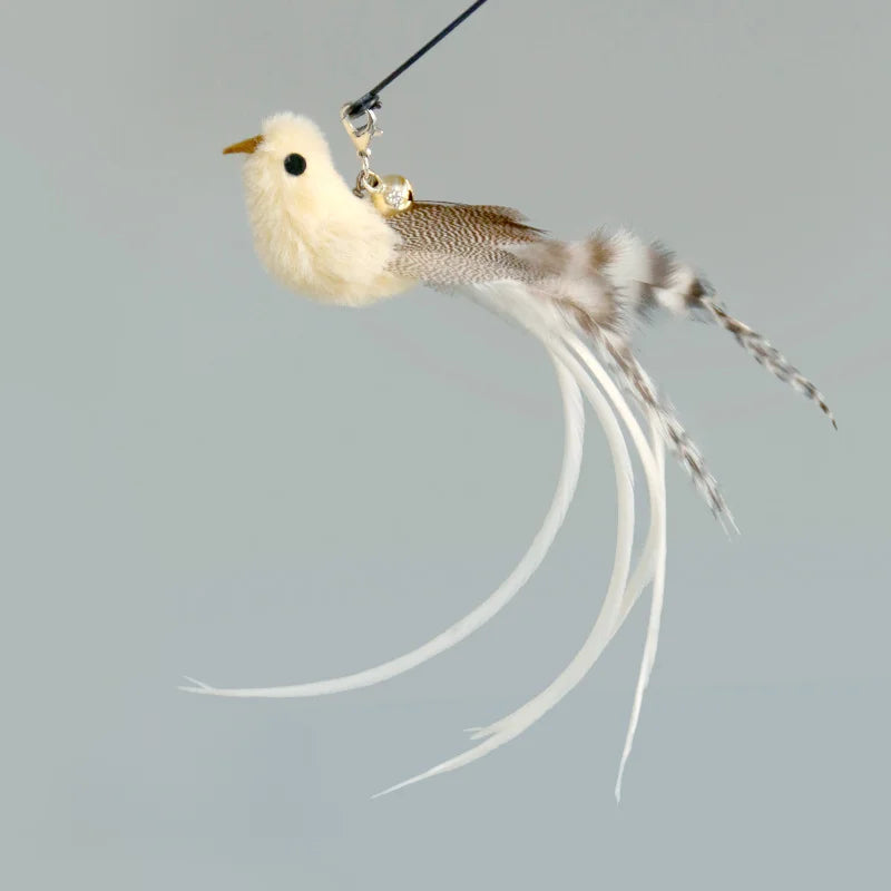 Interactive Feather Cat Toy – Feather Teaser for Cat Play & Exercise