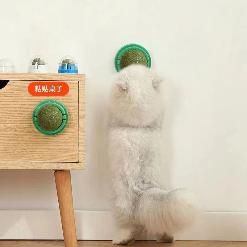 Catnip Wall Stick-On Ball Toy for Cats — Adhesive Cat Grass Treat Ball for Digestion & Scratching