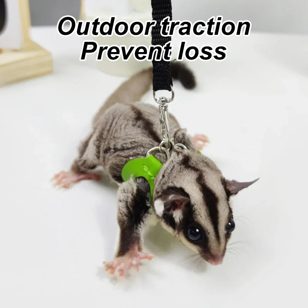 4-Pack Escape-Proof Adjustable Small Animal Harness & Leash Set — Hamsters, Sugar Gliders, Squirrels
