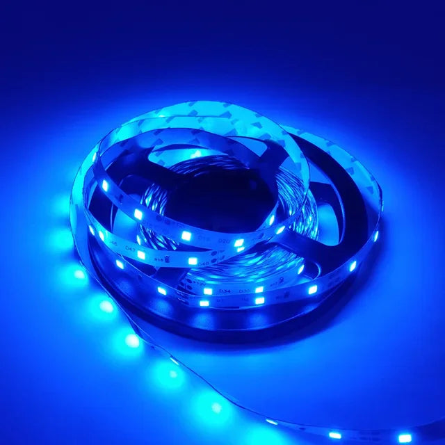 RGB LED Strip Light 5M (16.4 ft) 300 LEDs SMD2835 12V Waterproof Flexible Tape Light - Warm White/White/Red/Green/Blue for Room Decor