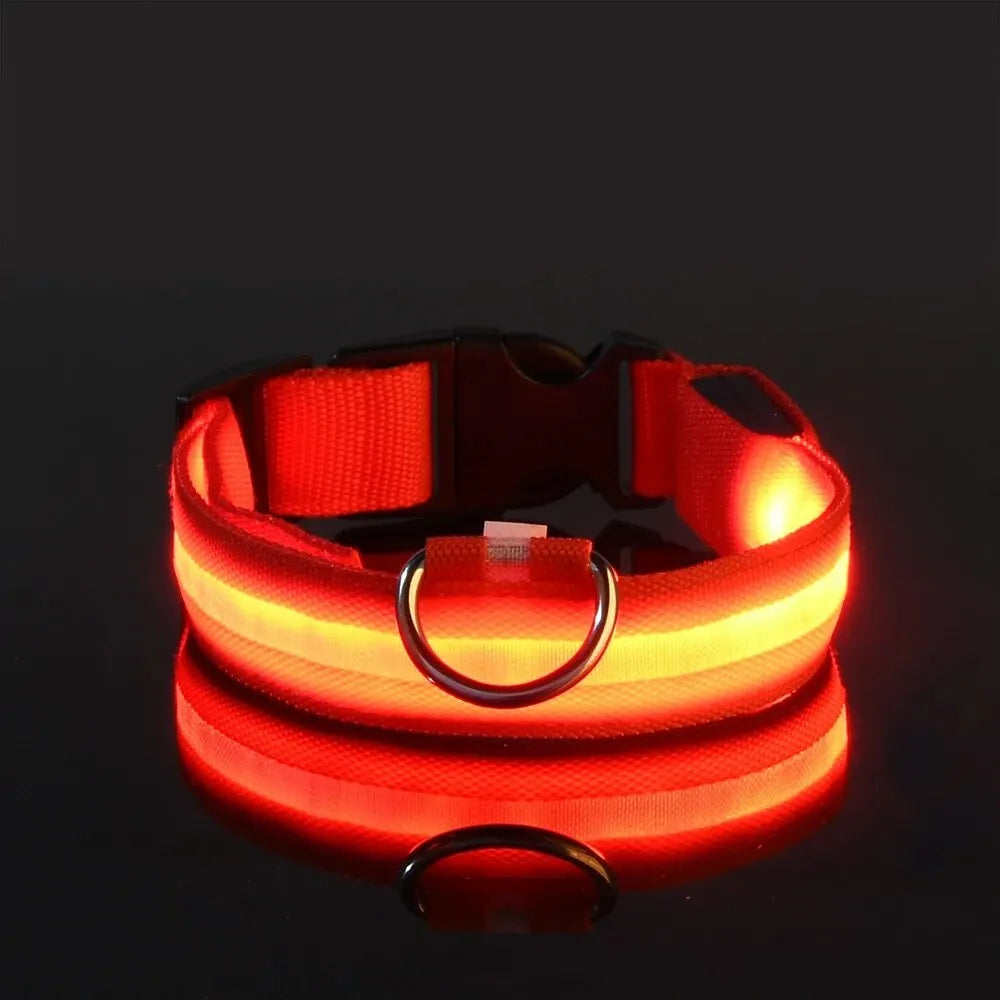 LED Glow Dog Collar – Nylon Luminous Fluorescent Safety Collar with Flashing Lights