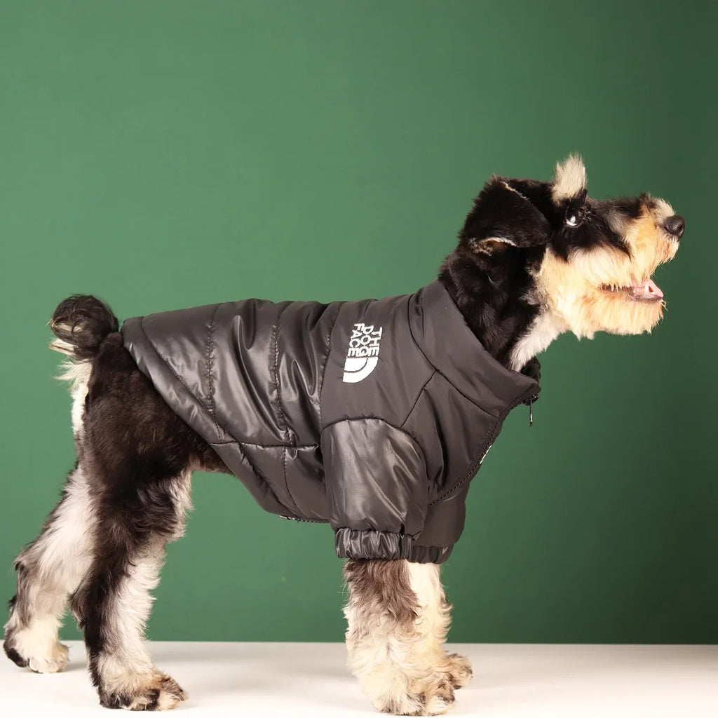 Windproof Winter Dog Jacket Padded Reflective Coat for Puppy, Small/Medium/Large Dogs (XS-3XL)