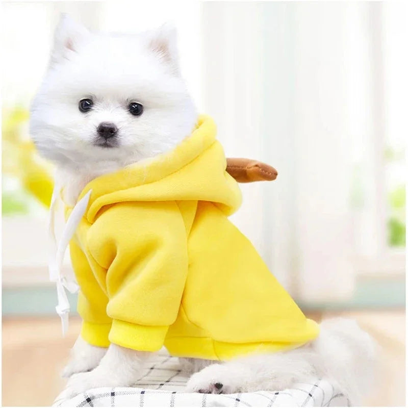 Fruit Print Fleece Hoodie for Small Dogs – Warm Pet Jacket for Puppies & Cats