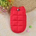 Winter Padded Windproof Dog Coat for Small Dogs - Chihuahua & Puppy Jacket
