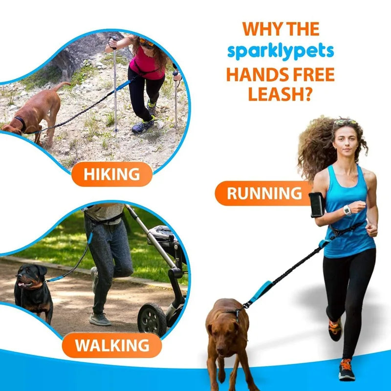 Double Elastic Reflective Hands-Free Running Dog Leash — Retractable Bungee Waist Lead 160–260 cm (63–102 in), Waist 70–120 cm (27–47 in)