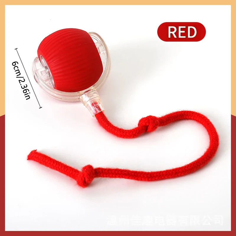 Interactive Rechargeable Pet Ball Toy USB — Automatic Moving Bouncing Ball for Puppies & Kittens, 5.2 cm (2.05 in)