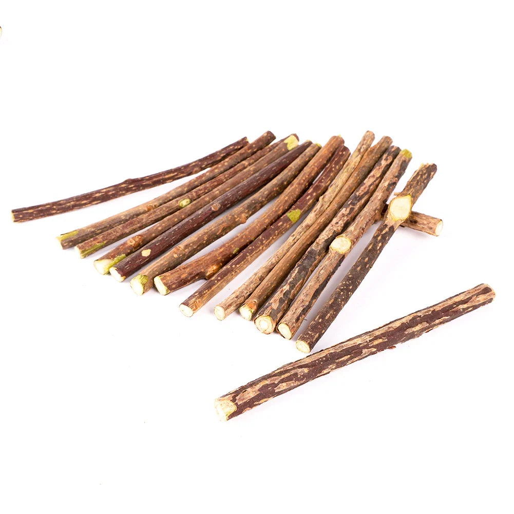 Silvervine Chew Sticks for Cats — Natural Catnip Alternative Dental & Molar Chew Toys for Cats & Kittens (10/15/20-Pack)