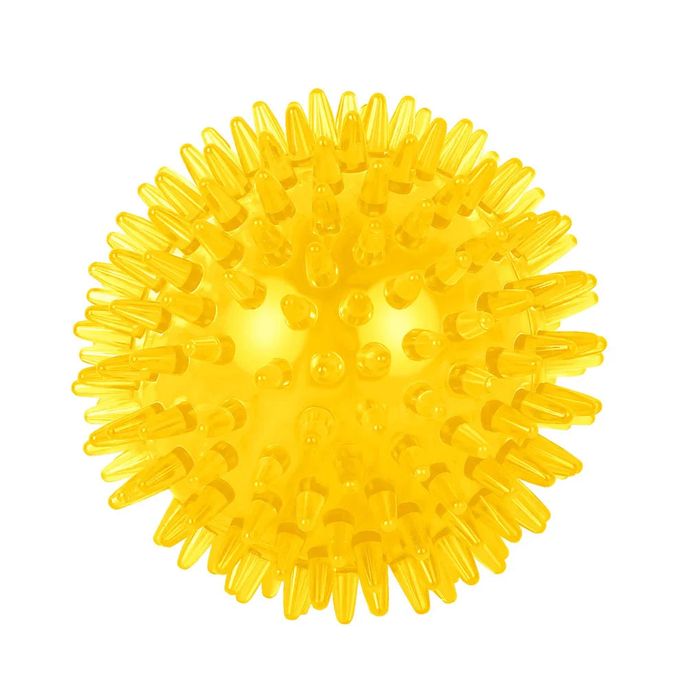 TPR Squeaky Thorn Chew Ball for Dogs & Cats — Teeth Cleaning Puppy Training Toy