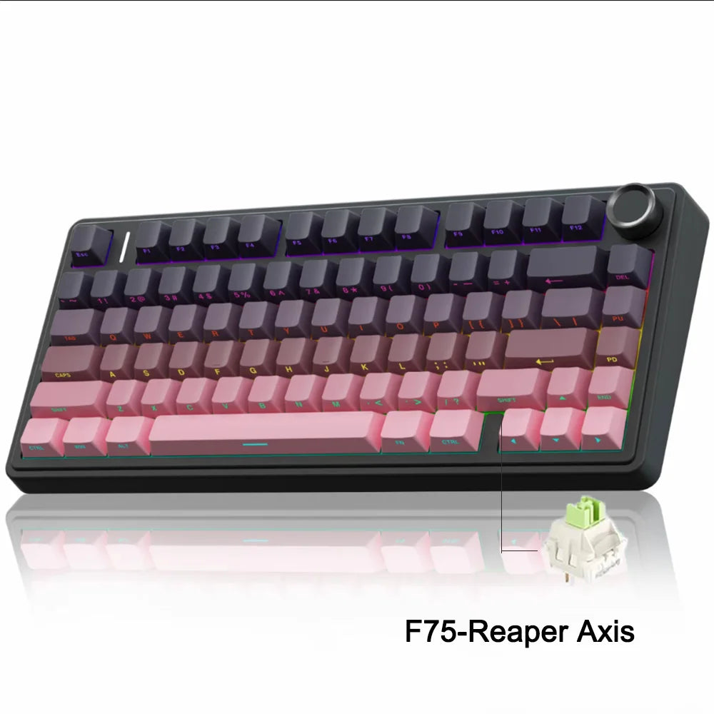 75% RGB Mechanical Gaming Keyboard — 78-Key Hot-Swappable Gasket Mount, 2.4G Wireless/Bluetooth/Wired, OEM Profile