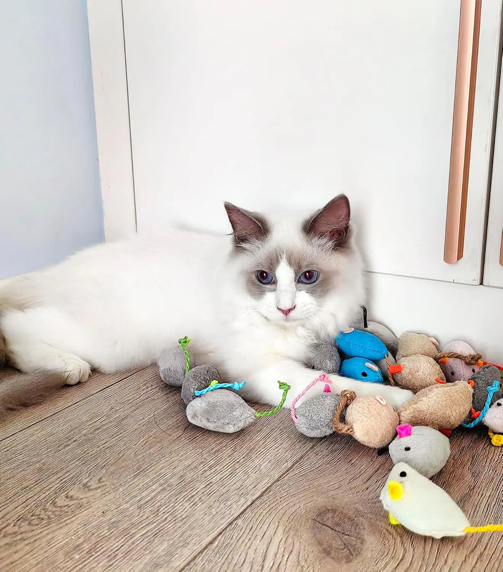 Rattle Catnip Mice Toy — Faux Fur Prefilled Catnip, Interactive Indoor Cat Toys — 3pc & 200pc Pack Options