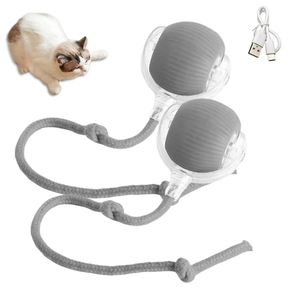 Rechargeable Interactive Rolling Cat Toy with Faux Tail - Motion-Activated Ball for Cats & Small Dogs