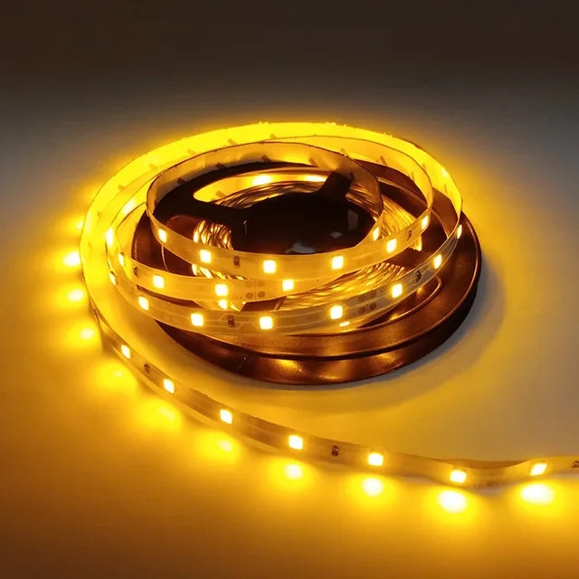 RGB LED Strip Light 5M (16.4 ft) 300 LEDs SMD2835 12V Waterproof Flexible Tape Light - Warm White/White/Red/Green/Blue for Room Decor