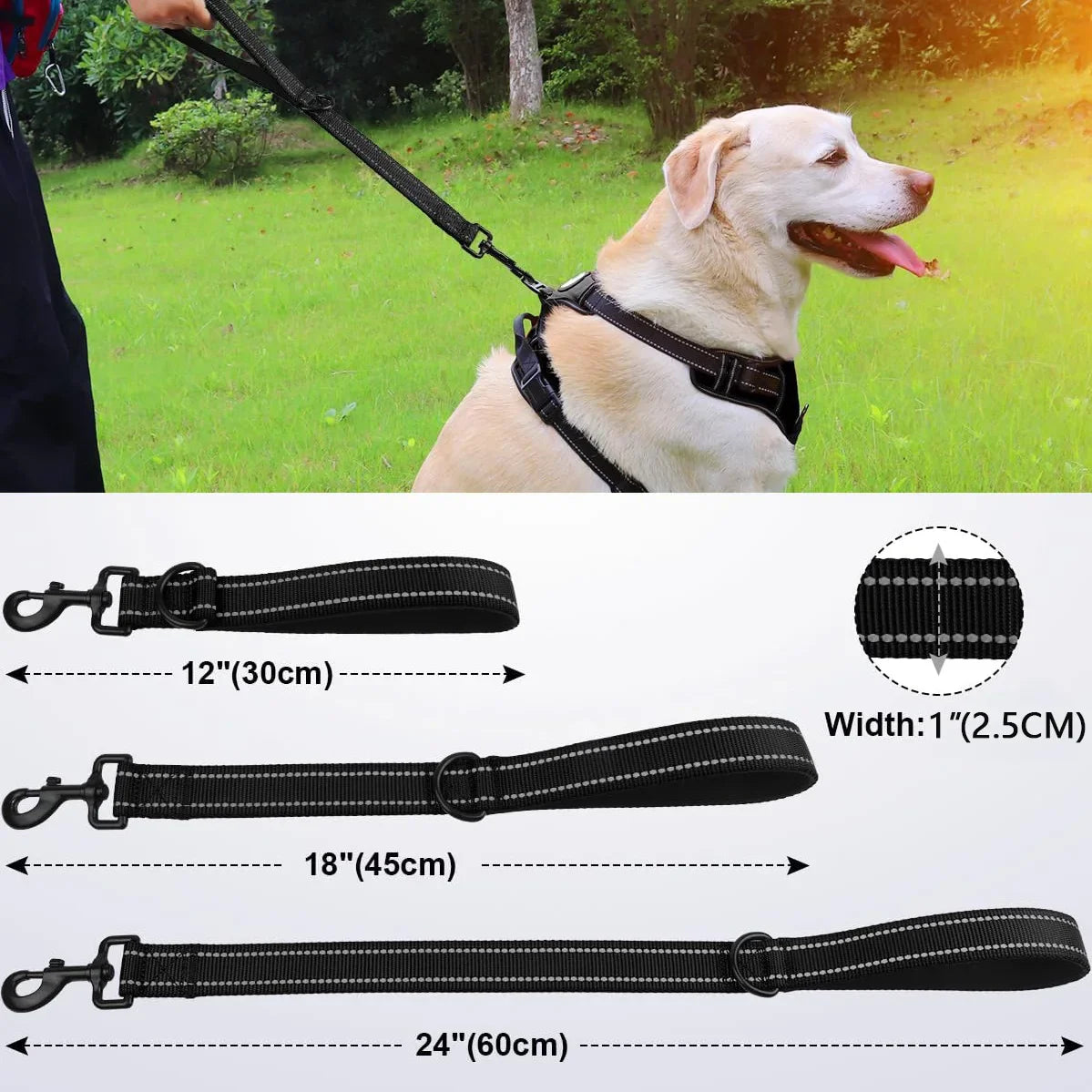 Short Nylon Dog Leash with Padded Traffic Handle - Heavy Duty Reflective Training Lead