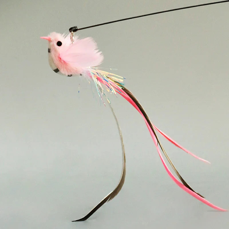 Interactive Feather Cat Toy – Feather Teaser for Cat Play & Exercise