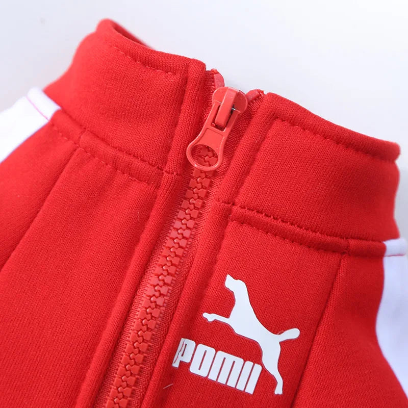 Baseball Pullover Dog Hoodie - Winter Jacket for Small & Medium Dogs, French Bulldog Chihuahua Pug Puppy Coat