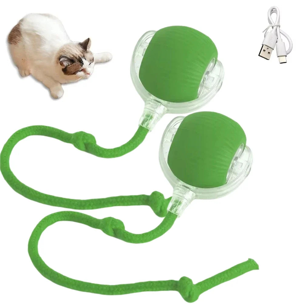 Rechargeable Interactive Rolling Cat Toy with Faux Tail - Motion-Activated Ball for Cats & Small Dogs