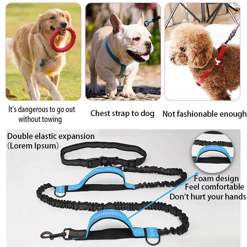 Hands-Free Double Elastic Reflective Dog Leash — Retractable Running Waist Belt, Adjustable Waist 27.6–47.2 in (70–120 cm), Leash 63–102 in (160–260 cm)