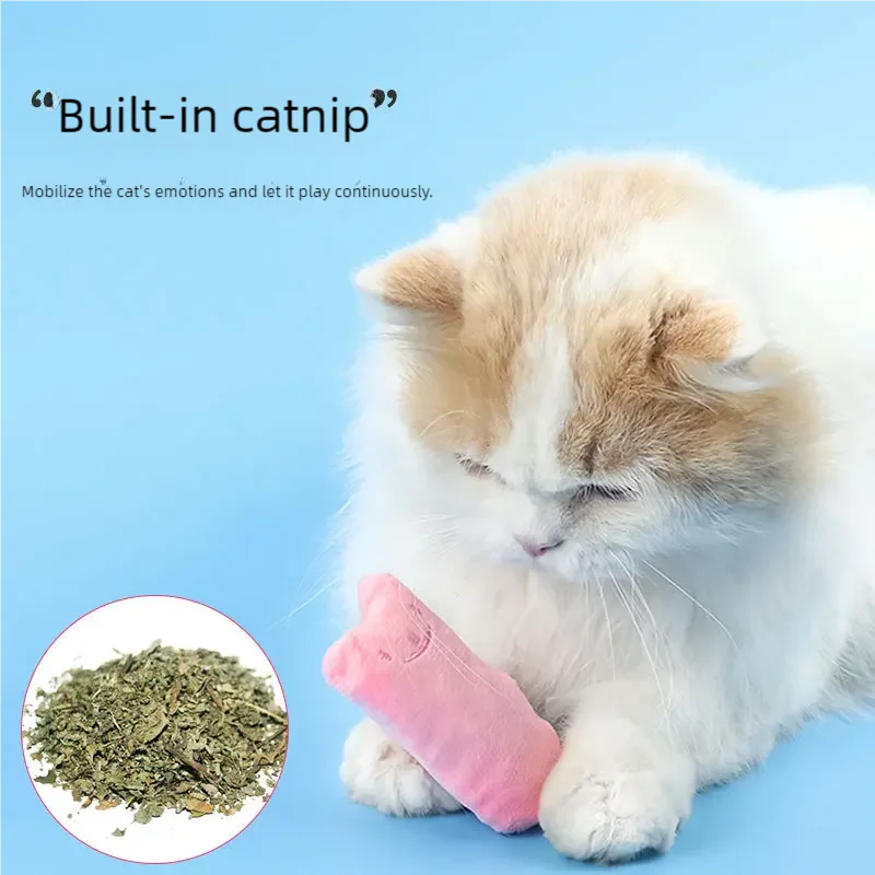 Interactive Catnip Plush Chew Toy for Cats — Teeth-Cleaning Squeaky Toy for Kittens & Adult Cats