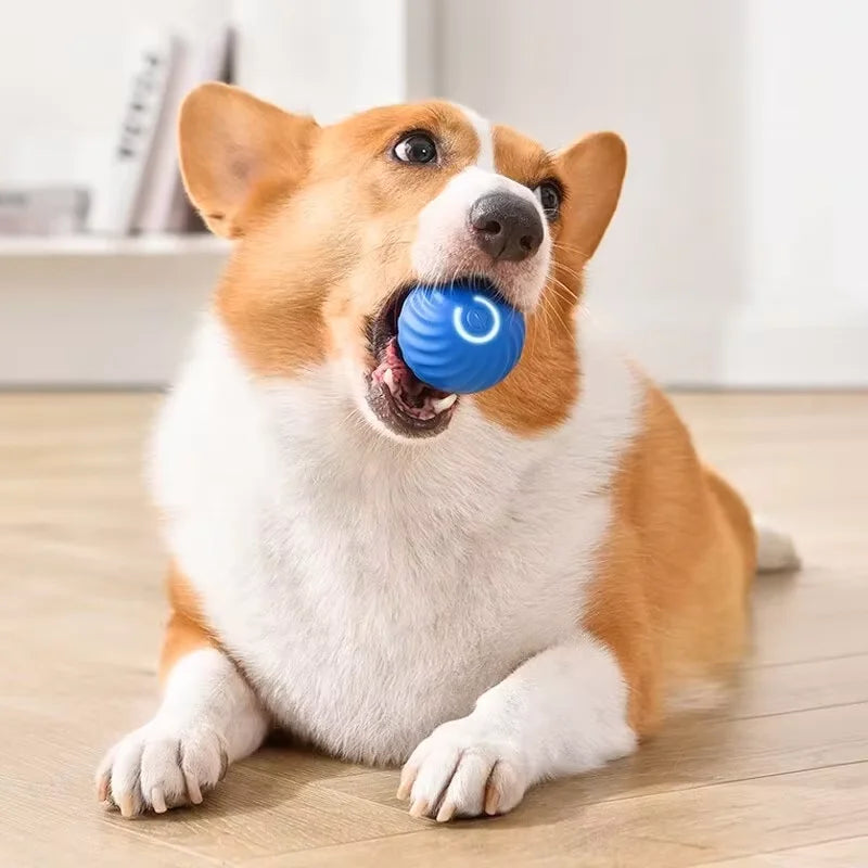 Interactive Rechargeable Gravity Jump Ball for Cats & Dogs - Bite-Resistant Auto-Rolling Chase Toy, 2.05 in (5.2 cm)