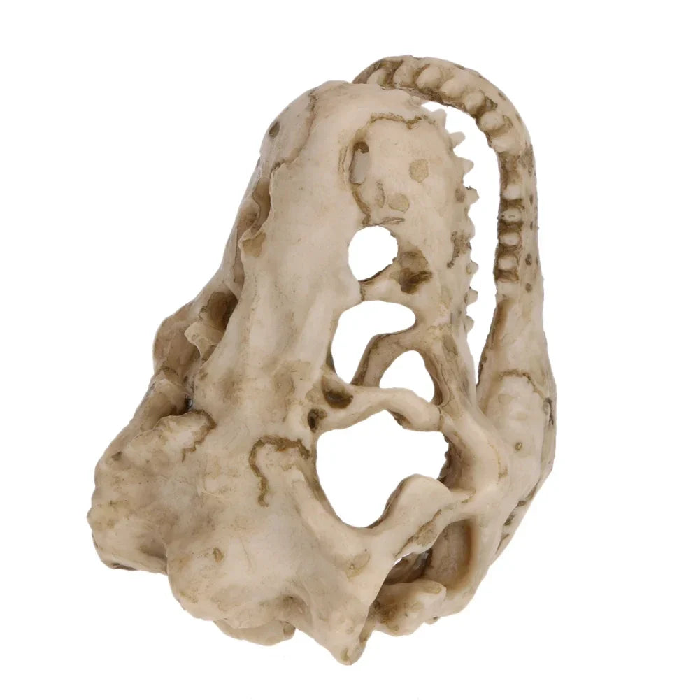 Resin Mini Dinosaur Fossil & Crocodile Skull Aquarium Ornament 3.34 x 2.16 x 1.77 in (8.5 x 5.5 x 4.5 cm)