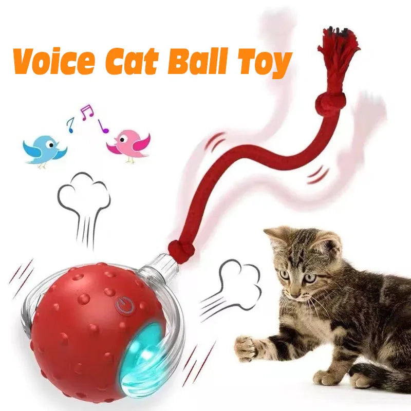 Rechargeable Automatic Rolling Cat Ball - Interactive Smart Toy for Cats & Kittens (2.36 x 2.75 in / 60 x 70 mm)