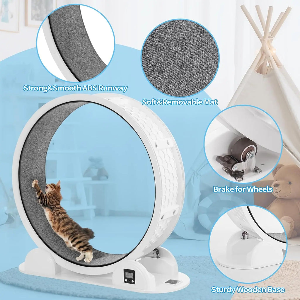 38 in (96 cm) Eco-Friendly Indoor Cat Exercise Wheel Treadmill with Built-In Pedometer — Fast 10-Min Install, 50 lb (23 kg) Capacity