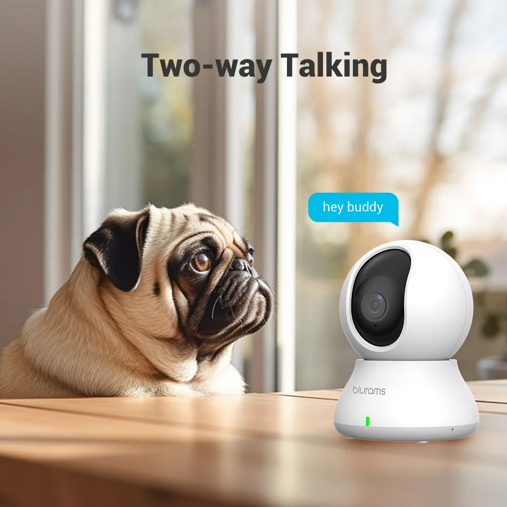 Indoor 3MP WiFi Pet Dome Camera — 360° Pan, Motion Detection, Dual Lens, 2.4GHz, Ceiling/Wall Mount