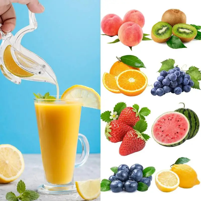 1/2/3-Pack Mini Portable Bird-Shaped Citrus Juicer – Handheld Lemon & Orange Squeezer, Transparent Acrylic