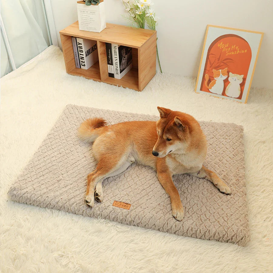 Short Plush Removable Washable Pet Bed - High Elasticity Non-Collapse Cushion for Small and Medium Dogs and Cats