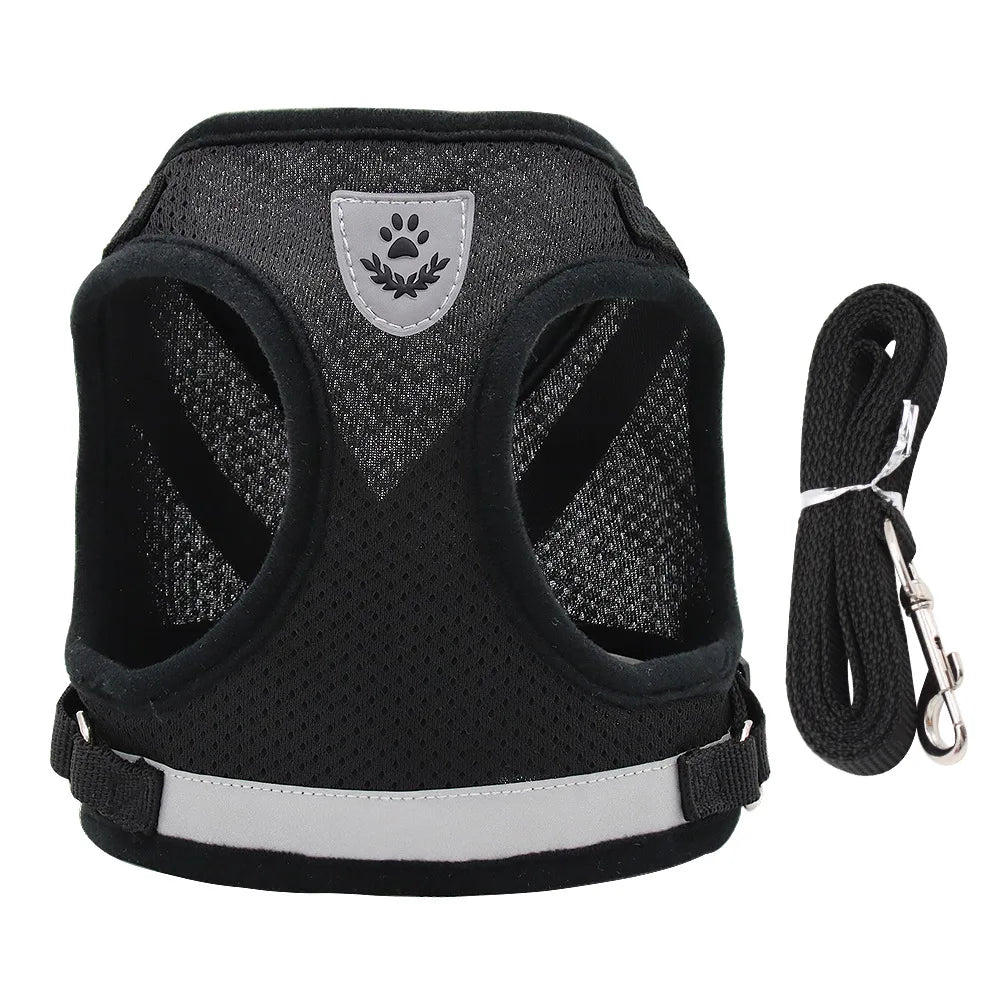 Adjustable Pet Harness & Leash Set – Vest Walking Lead for Dogs & Cats (Puppy & Kitten)