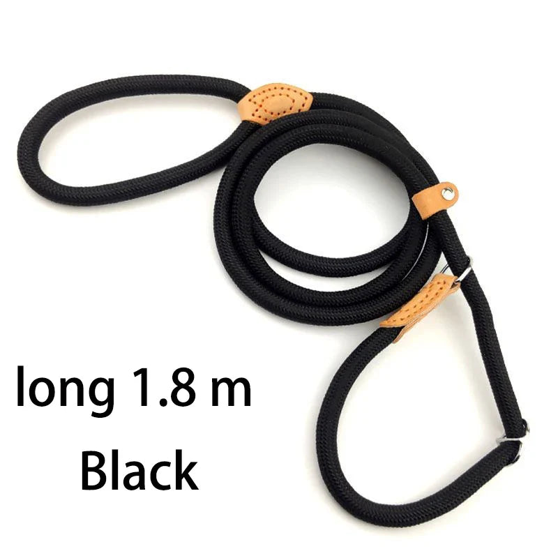 Adjustable Nylon Dog Collar and Harness with Quick-Release Leash, Lightweight Durable Pet Lead for Dogs and Cats