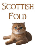 Scottish Fold Cat Kids T-Shirt