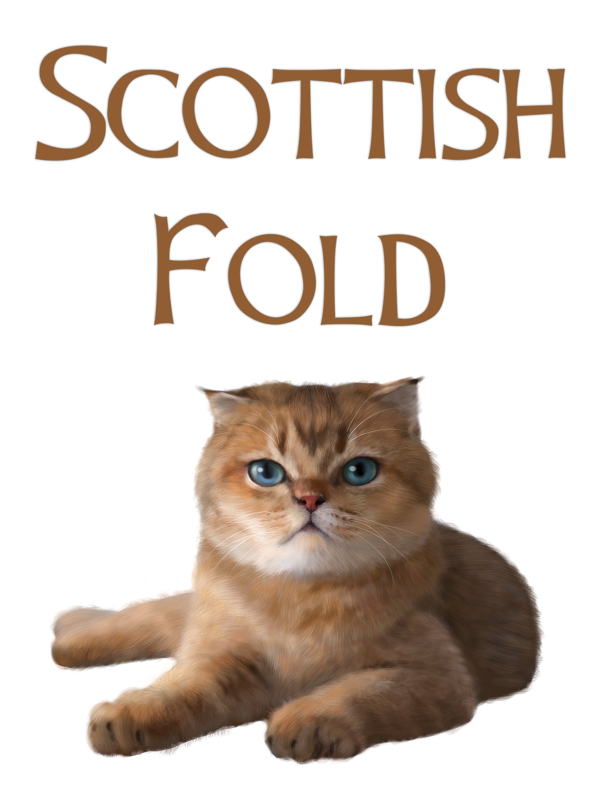 Scottish Fold Cat Kids T-Shirt