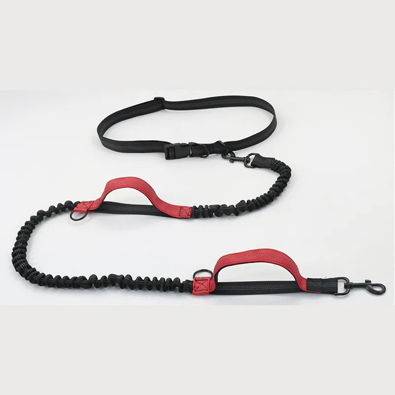 Hands-Free Double Elastic Reflective Dog Leash — Retractable Running Waist Belt, Adjustable Waist 27.6–47.2 in (70–120 cm), Leash 63–102 in (160–260 cm)