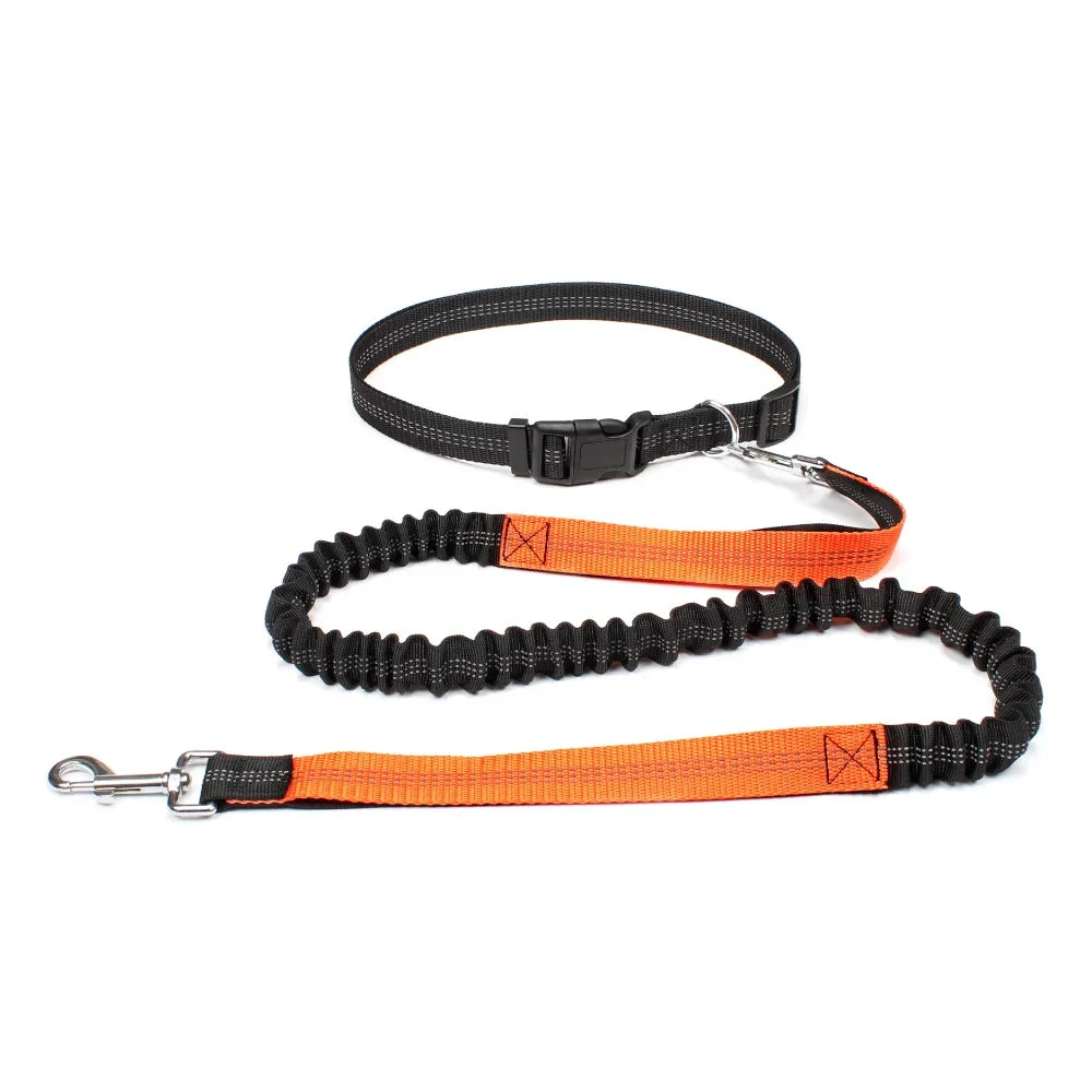 Hands-Free Dog Leash – Adjustable Waist Belt & Chest Strap, Reflective Running Jogging Leash 27.5–47 in (70–120 cm) Waist, 50–70 in (125–180 cm) Leash