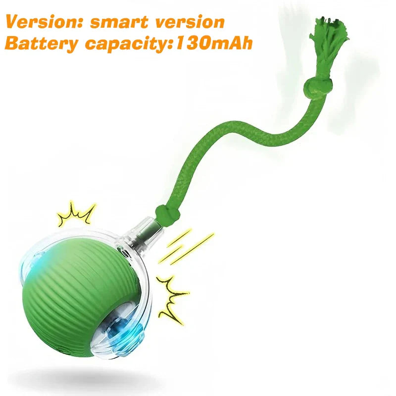 Rechargeable Interactive Rolling Ball Toy for Dogs & Cats — Automatic Smart Obstacle-Avoiding Pet Play Ball