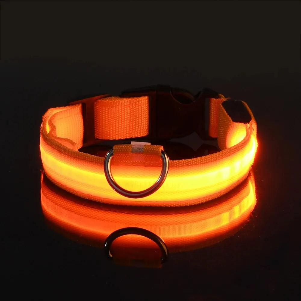 LED Glow Nylon Dog Collar & Leash - Luminous Flashing Night Safety for Dogs