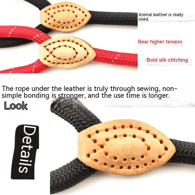 Adjustable Nylon Dog Collar and Harness with Quick-Release Leash, Lightweight Durable Pet Lead for Dogs and Cats