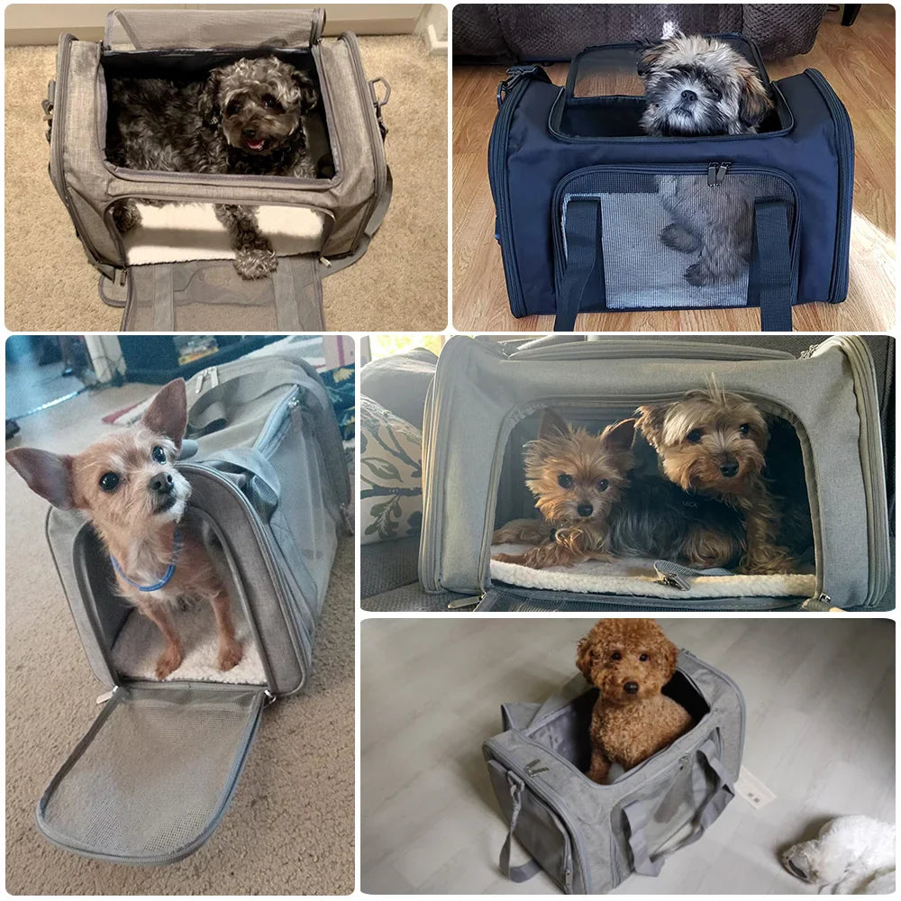 Airline-Approved Soft-Side Pet Carrier Backpack for Small Dogs & Cats — M (44×28×28 cm / 17.3×11×11 in) & L (50×34×34 cm / 19.7×13.4×13.4 in), Up to 12 kg (26.5 lb)