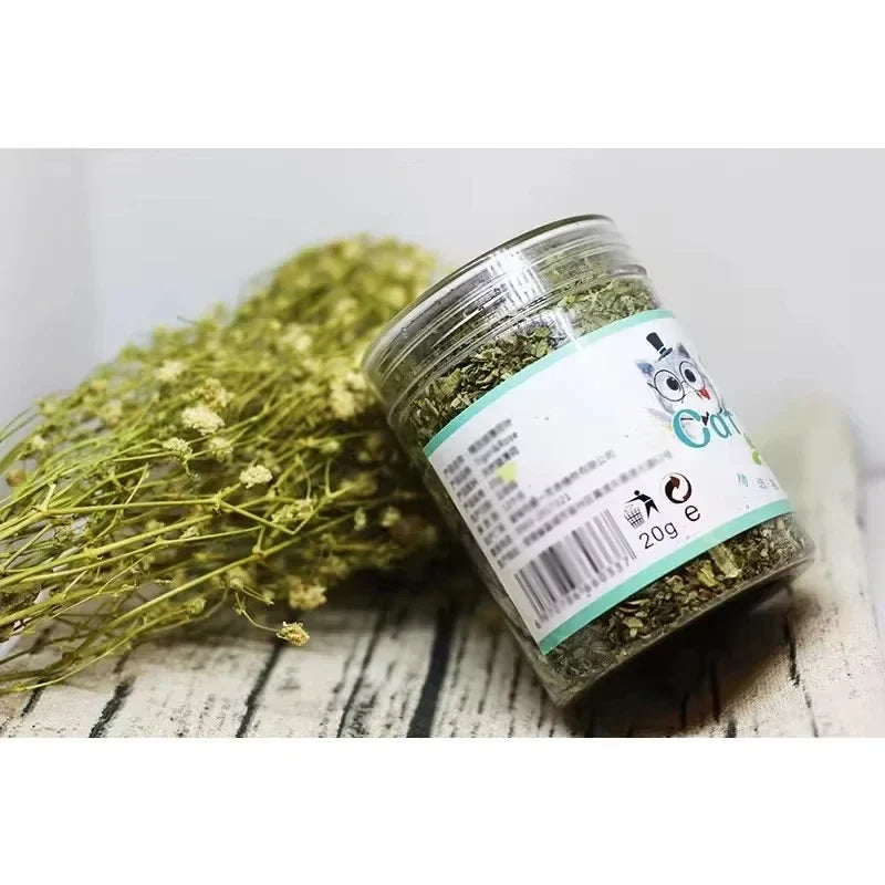 Organic Catnip Powder with Mint - 100% Natural Catnip for Cats, Interactive Cat Toy & Dental Chew