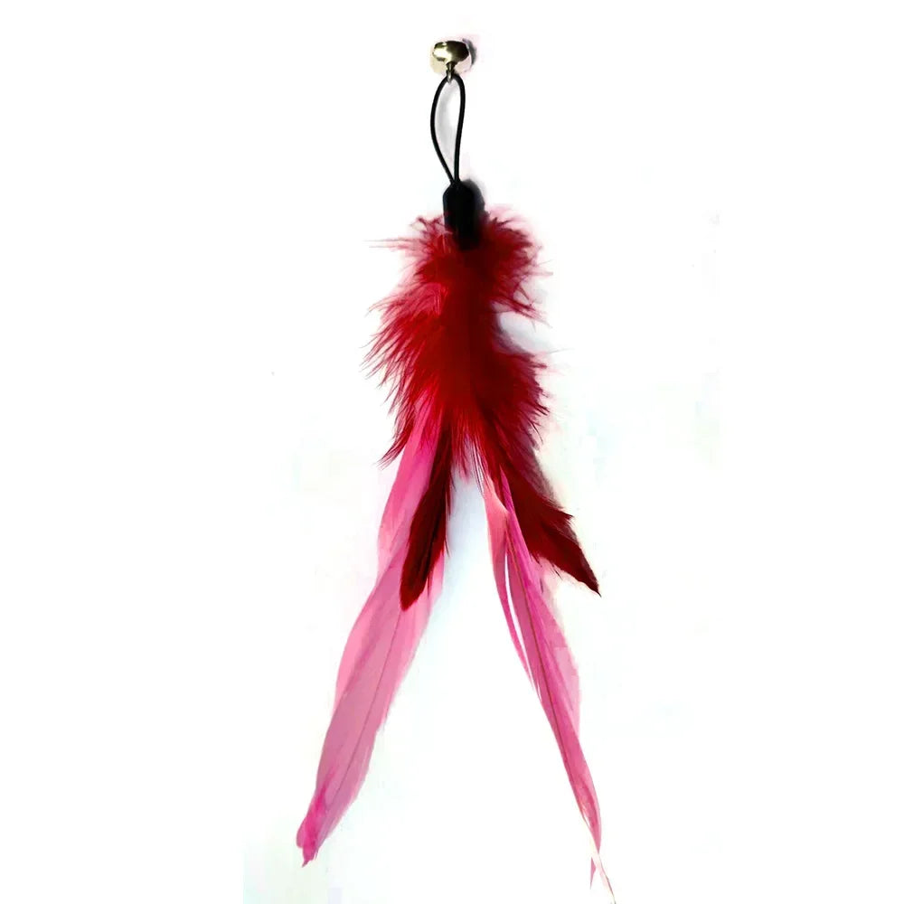 Interactive Cat Feather Toy Refill Kit – Feather Birds, Faux Worm & Foam Ball with Bell for Kittens