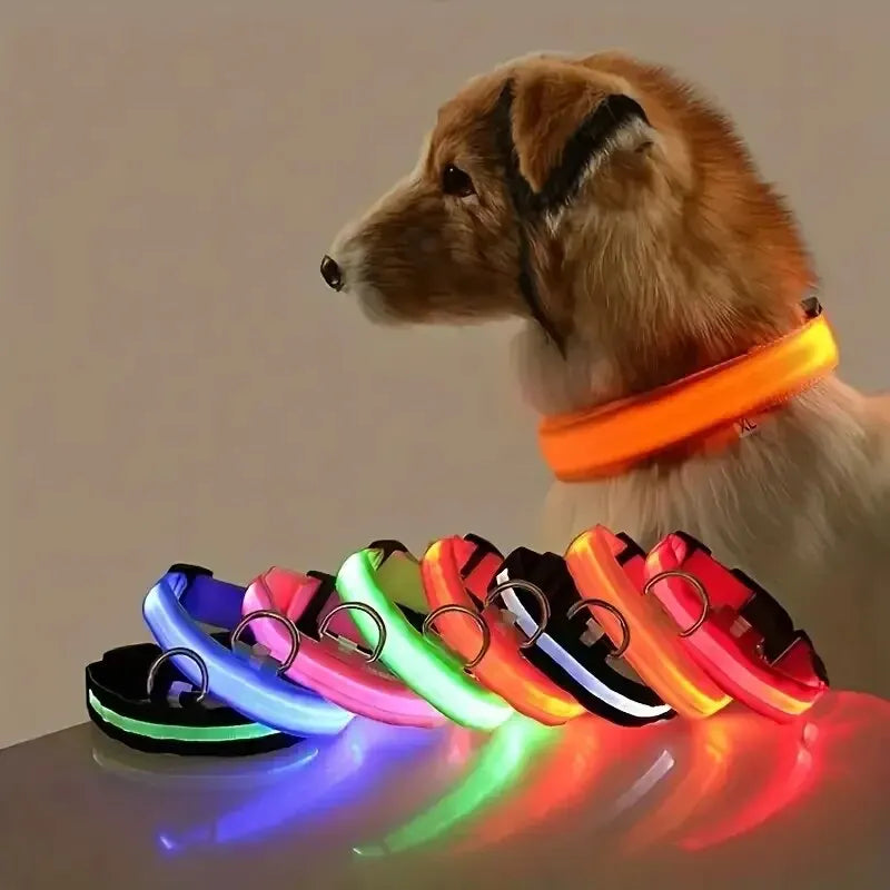 LED Glow Dog Collar – Nylon Luminous Fluorescent Safety Collar with Flashing Lights