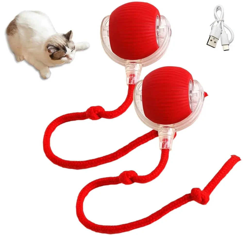 Rechargeable Interactive Rolling Cat Toy with Faux Tail - Motion-Activated Ball for Cats & Small Dogs