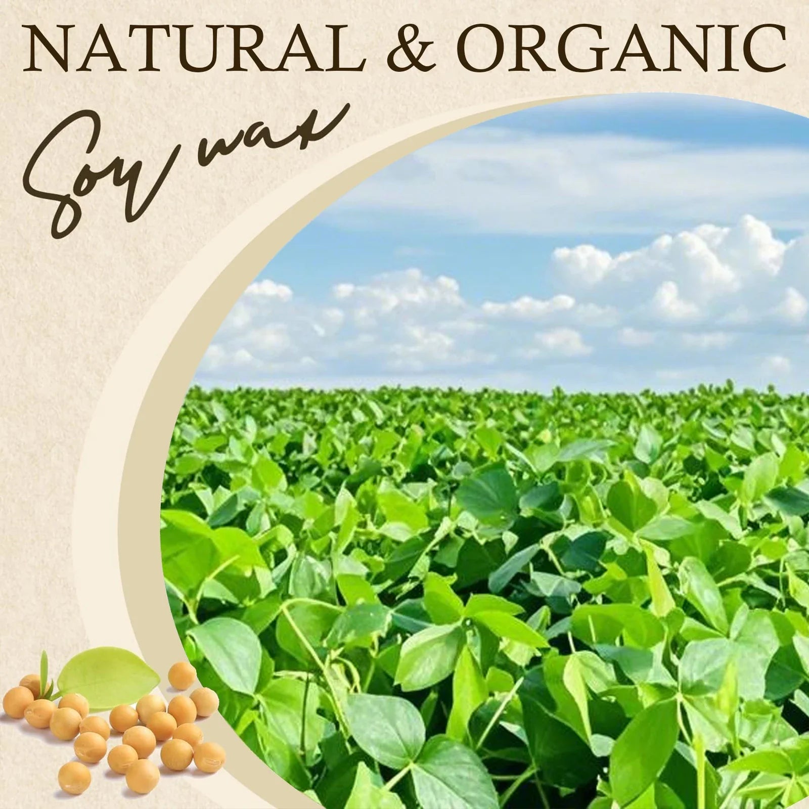 Natural Soy Wax Flakes for Candle Making — 100g to 1000g, 100% Additive-Free