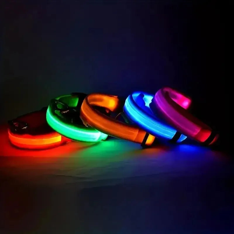 LED Glow Dog Collar – Nylon Luminous Fluorescent Safety Collar with Flashing Lights