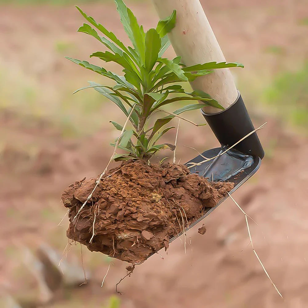 Mini Garden Hoe – Forged Manganese Steel Hand Hoe for Weeding, Soil Digging & Planting Vegetables and Flowers