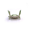 Cute Mini Crab Pen Holder – Desktop Pen Cup Novelty Stationery Organizer