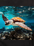 Sea Turtle Kids T-Shirt